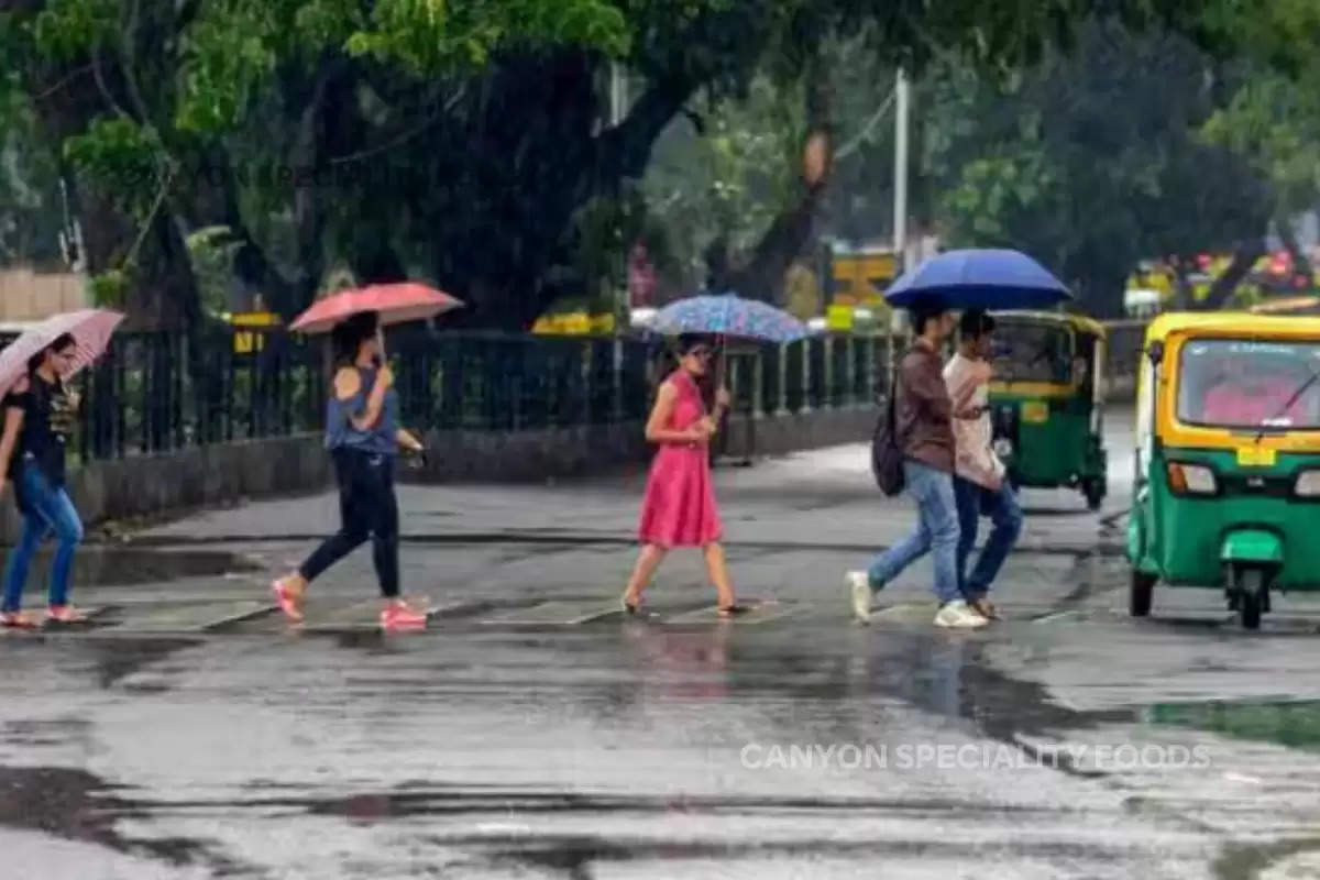 HOT WEATHER, IMD, Monsoon, RAINS, Weather, La Nina, Skymet, IMD Weather Update, Monsoon 2024,गर्म मौसम, आईएमडी, मानसून, बारिश, मौसम, ला नीना, स्काईमेट, आईएमडी मौसम अपडेट, मानसून 2024