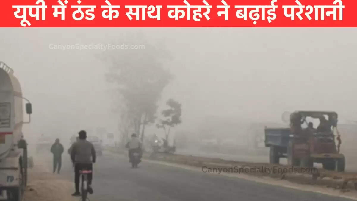 UP Weather: यूपी में ठंड दिखाने वाली है अपना असर, इन शहरों में छाएगा घना कोहरा, जानें- अपने जिले का हाल