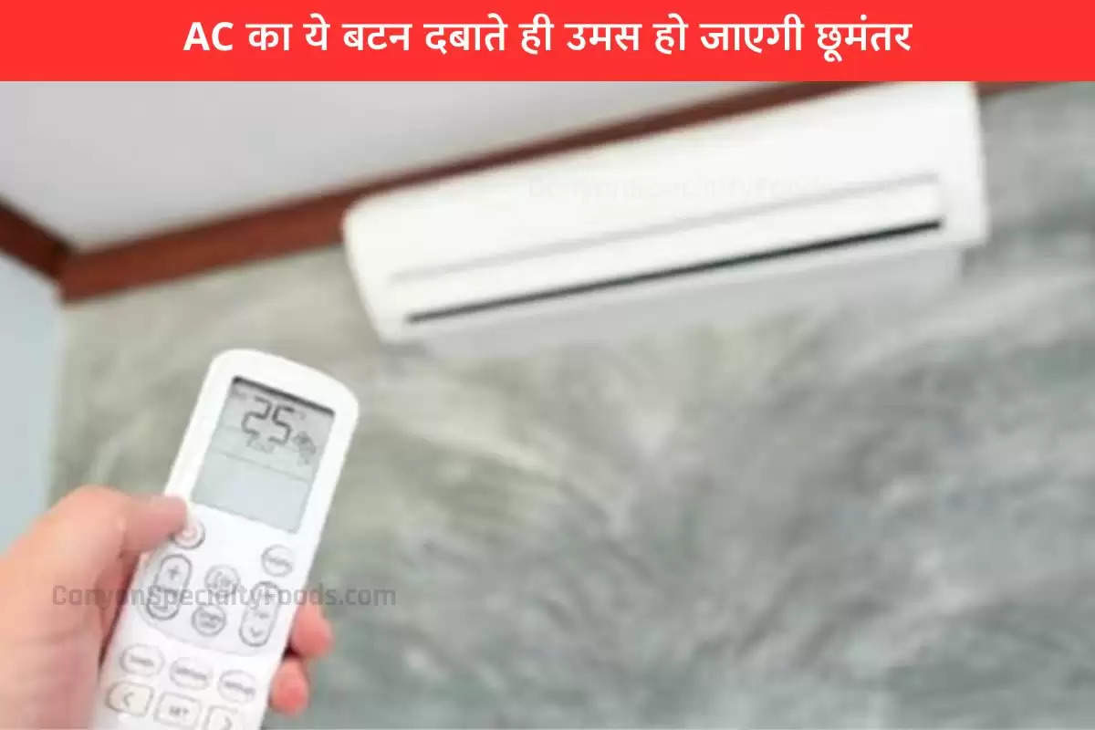 AC का ये बटन दबाते ही उमस हो जाएगी छूमंतर