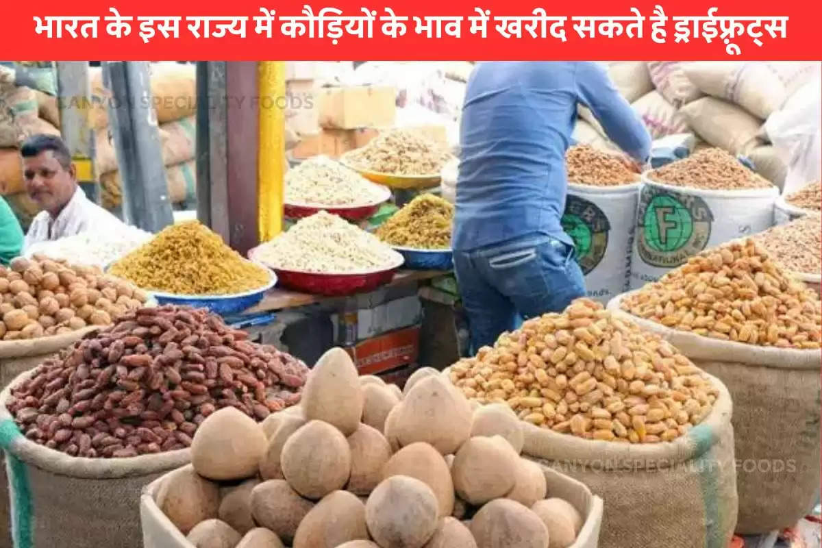 Cheapest Dry Fruit Market in India