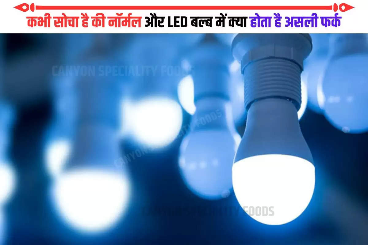 Difference between bulb and LED