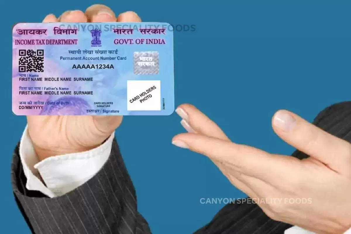 पैन कार्ड, pan card, how to download e pan card,  income tax site, Duplicate Pan card, pan card apply online, lost pan card, lost pan card application online, government of India, pan card is lost,