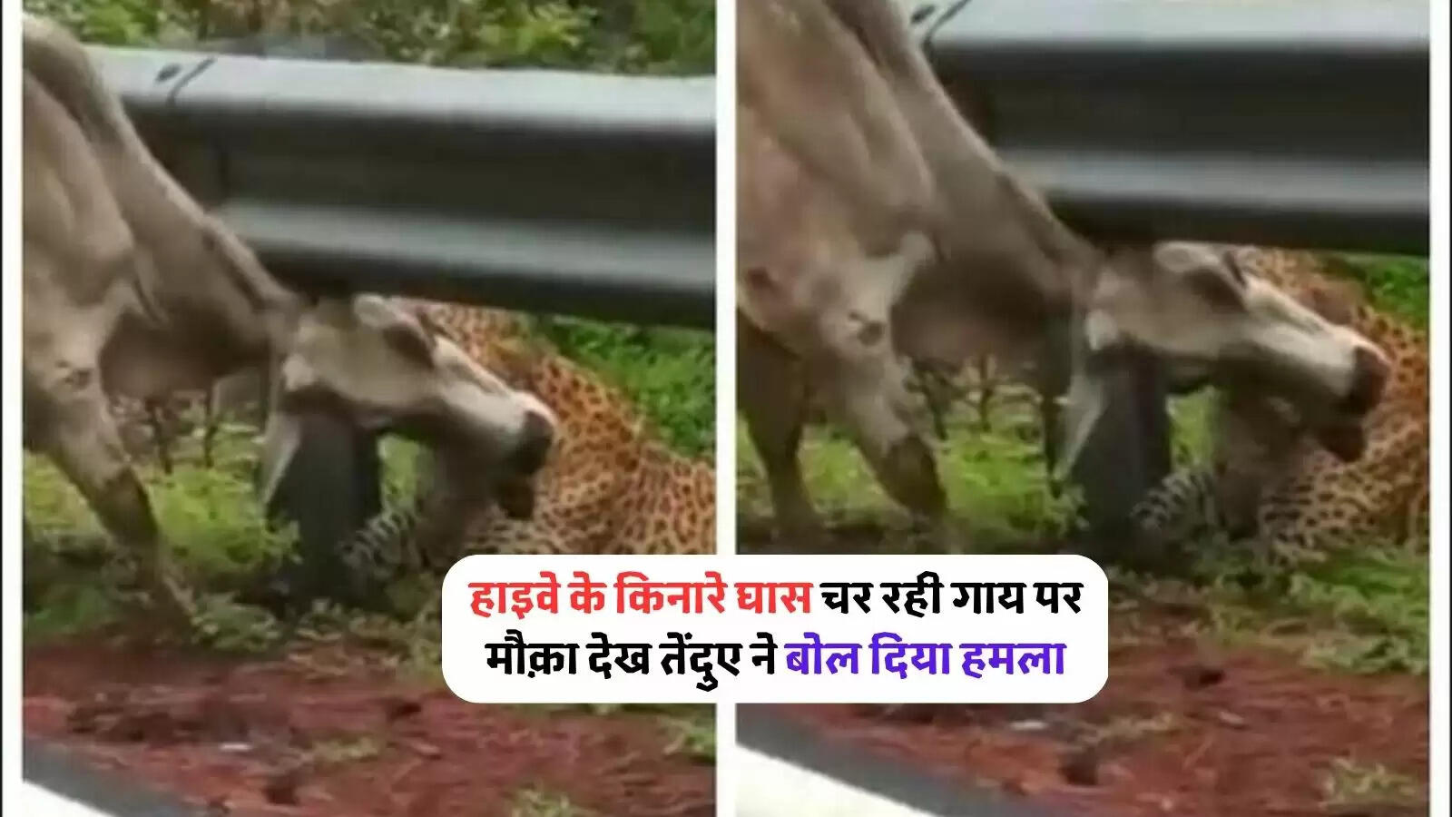 highway crash barrier