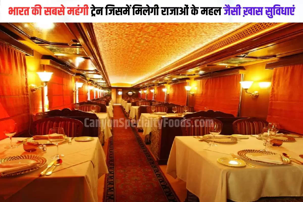 Luxury and Expensive Train In India (1)