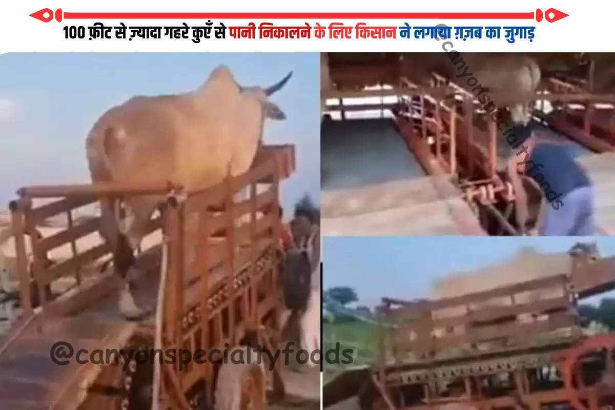 Desi Jugaad Video: 100 फ़ीट गहरे कुएं से पानी निकालने किसान ने लगाया देसी जुगाड़, जुगाड़ देख अच्छे अच्छे इंजीनियर के छूटे पसीने