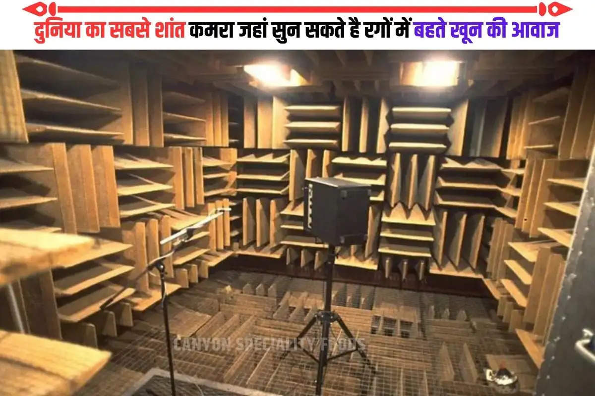 Quietest Room In The World