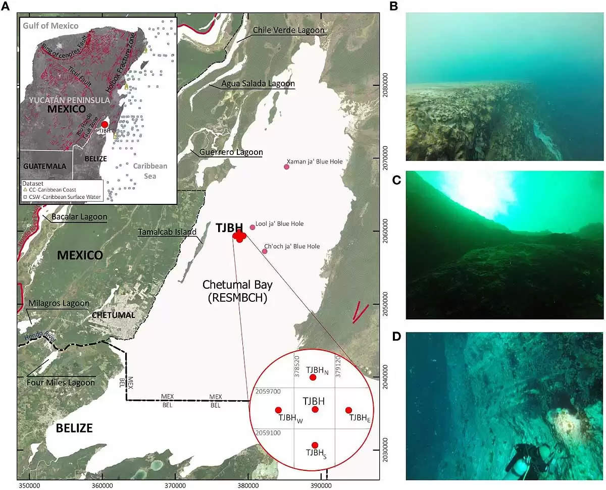 alcerreca-huerta-et-al.-frontiers-in-marine-science