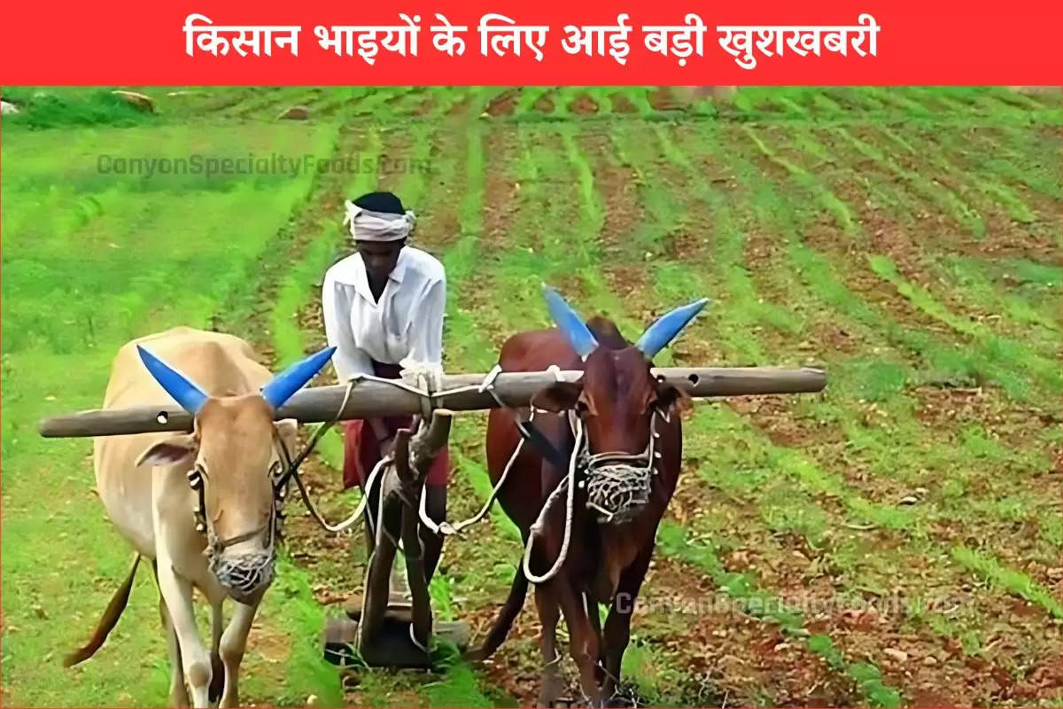 PM Kisan