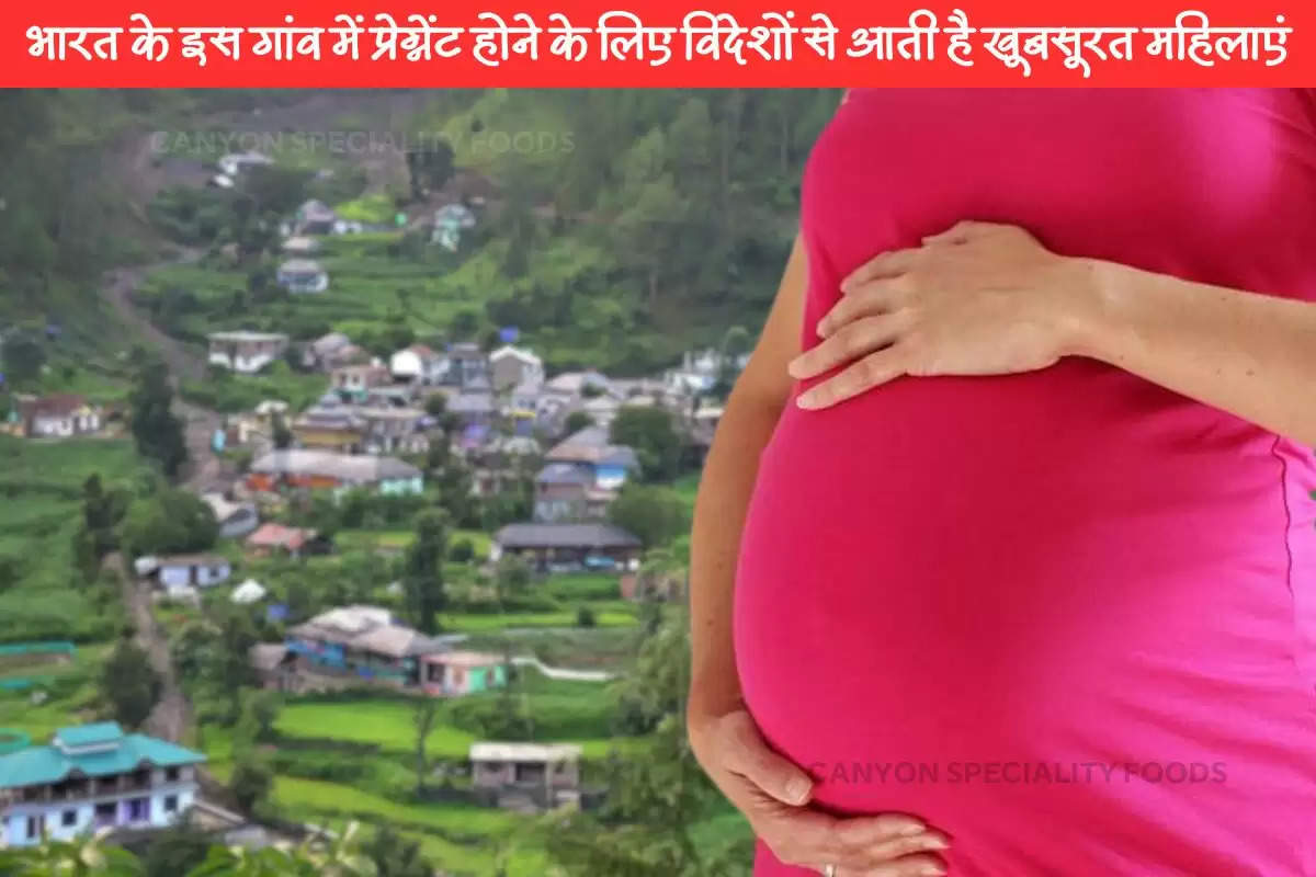 pregnancy tourism in ladakh