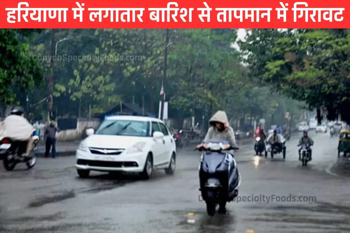 rain-in-haryana