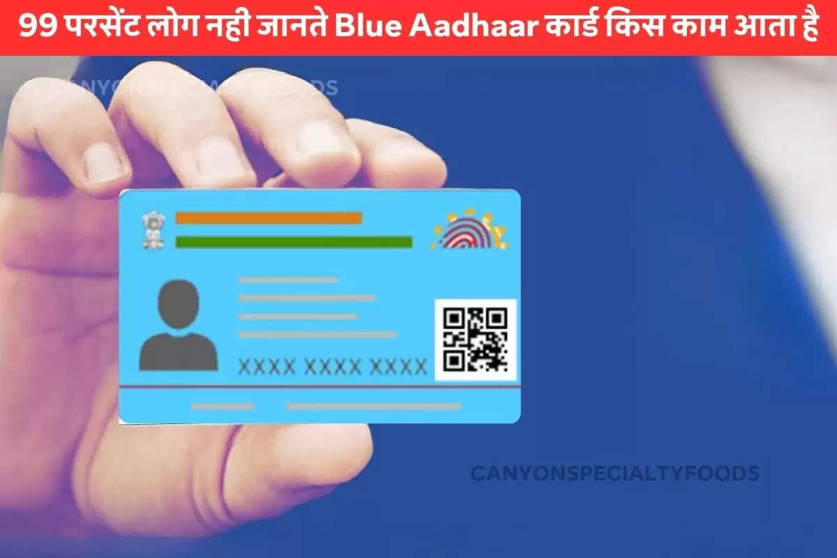 blue aadhar card download