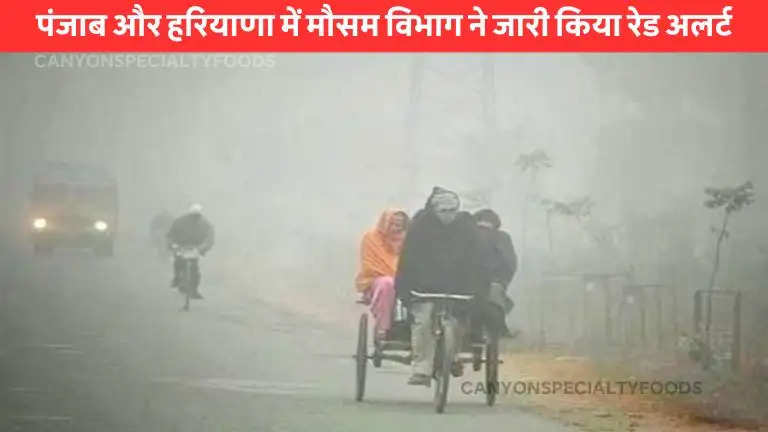 delhi weather update (3)