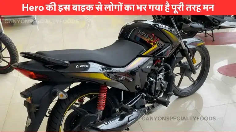 Two-Wheeler Sales December 2023