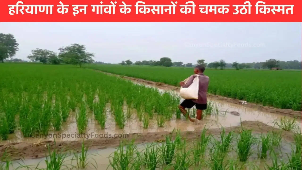 Haryana New Highway