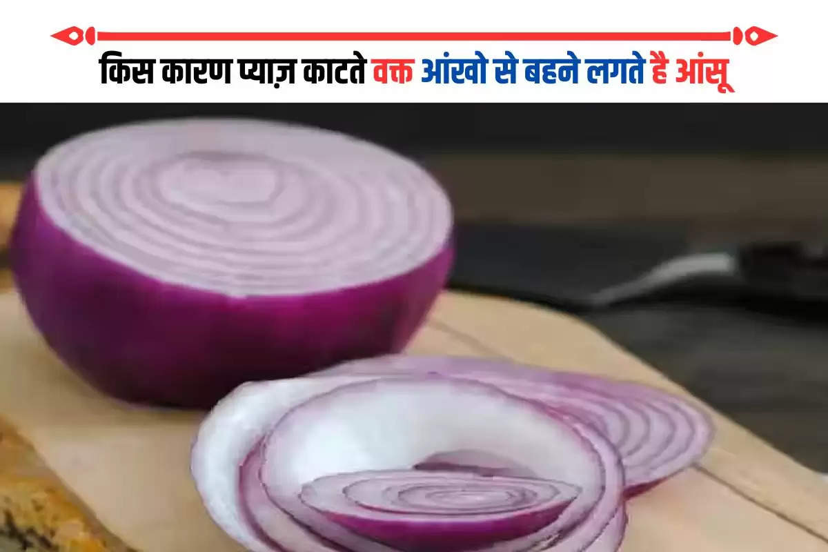  why we cry while cutting or chopping onion