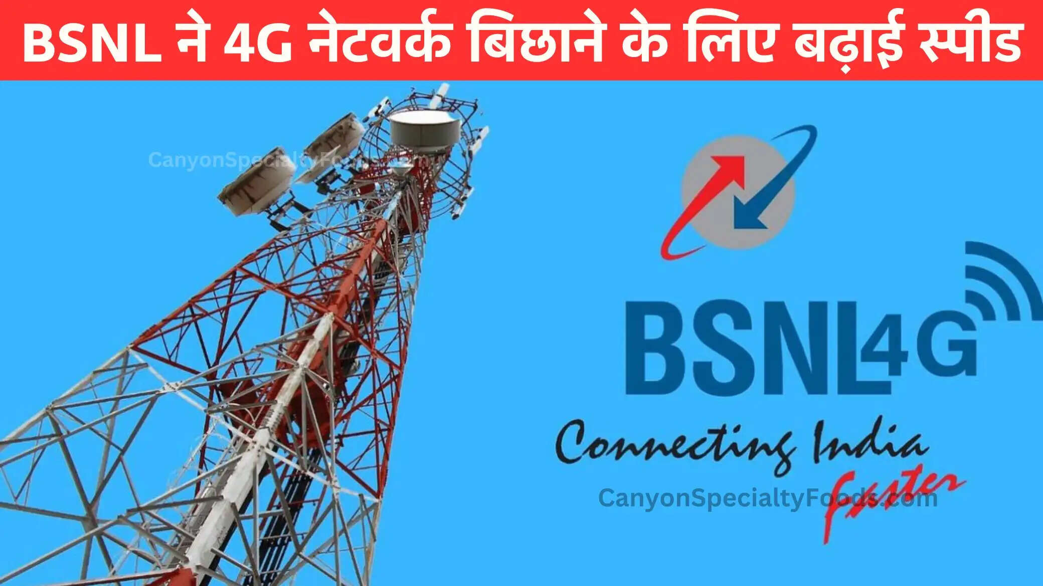 bsnl-network-start-update