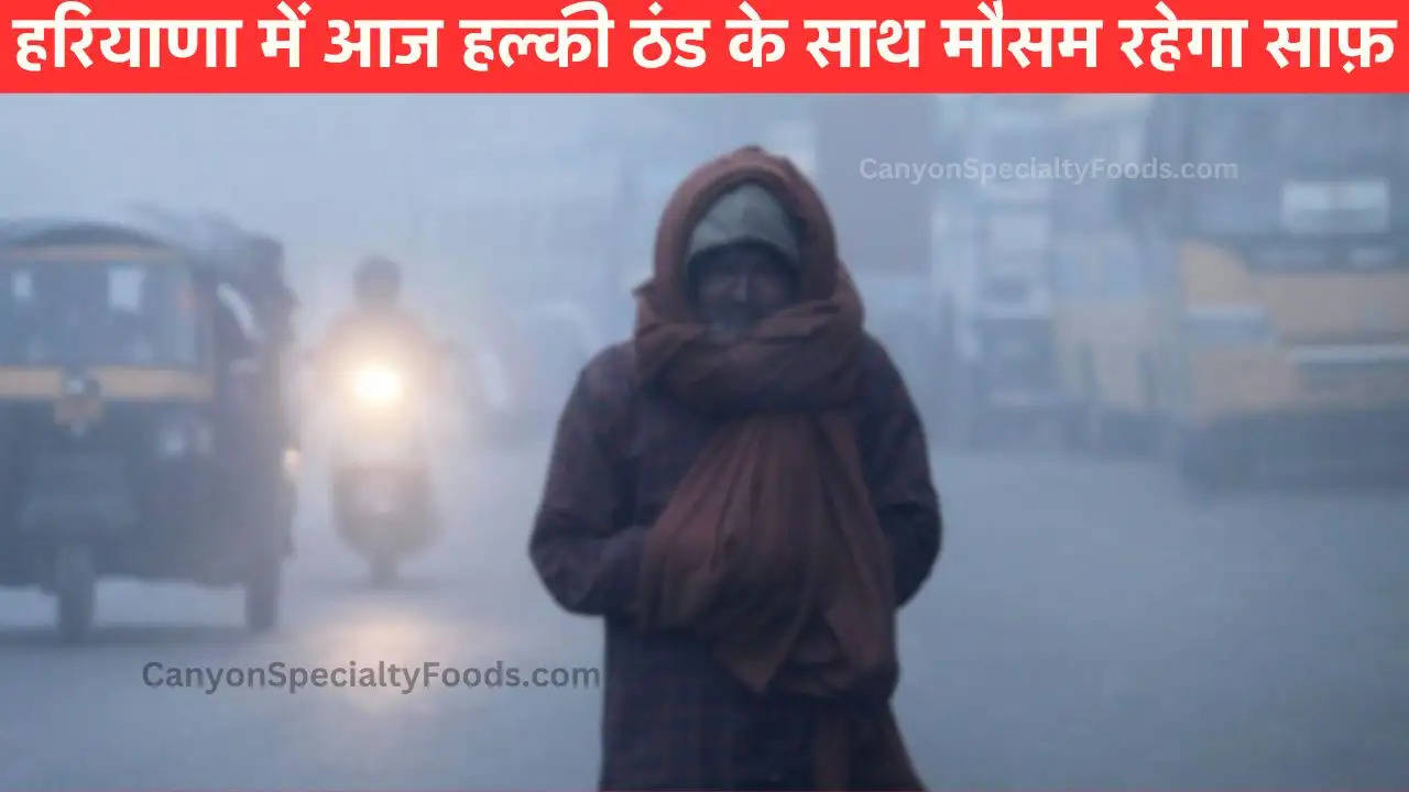 Haryana Weather Update