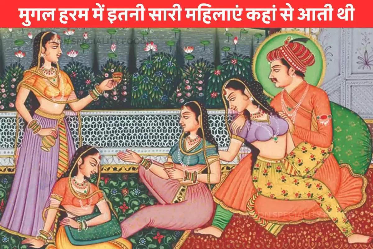 mughal harem dark secrets in hindi