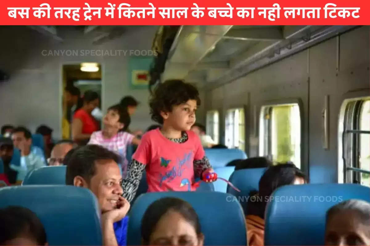 child-of-up-to-what-age-does-not-get-a-ticket-in-the-train