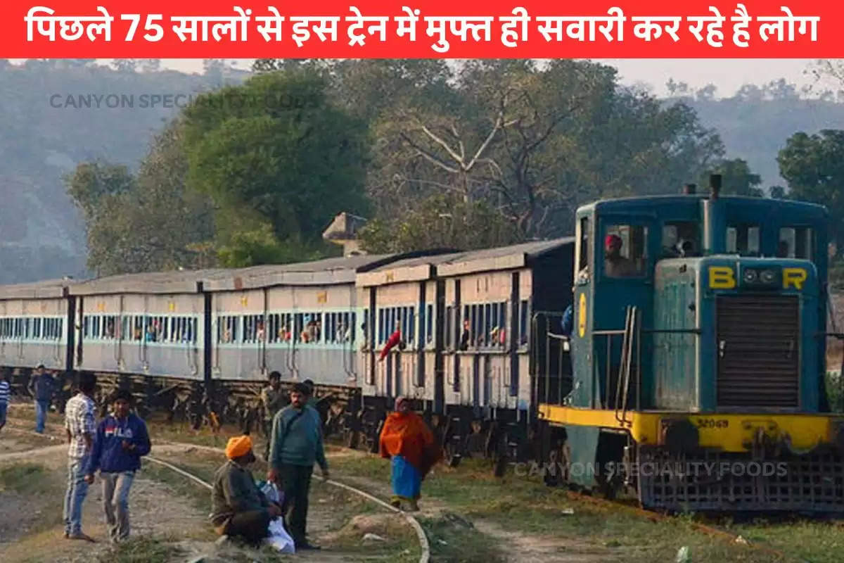 free travel in bhakhra nagal train