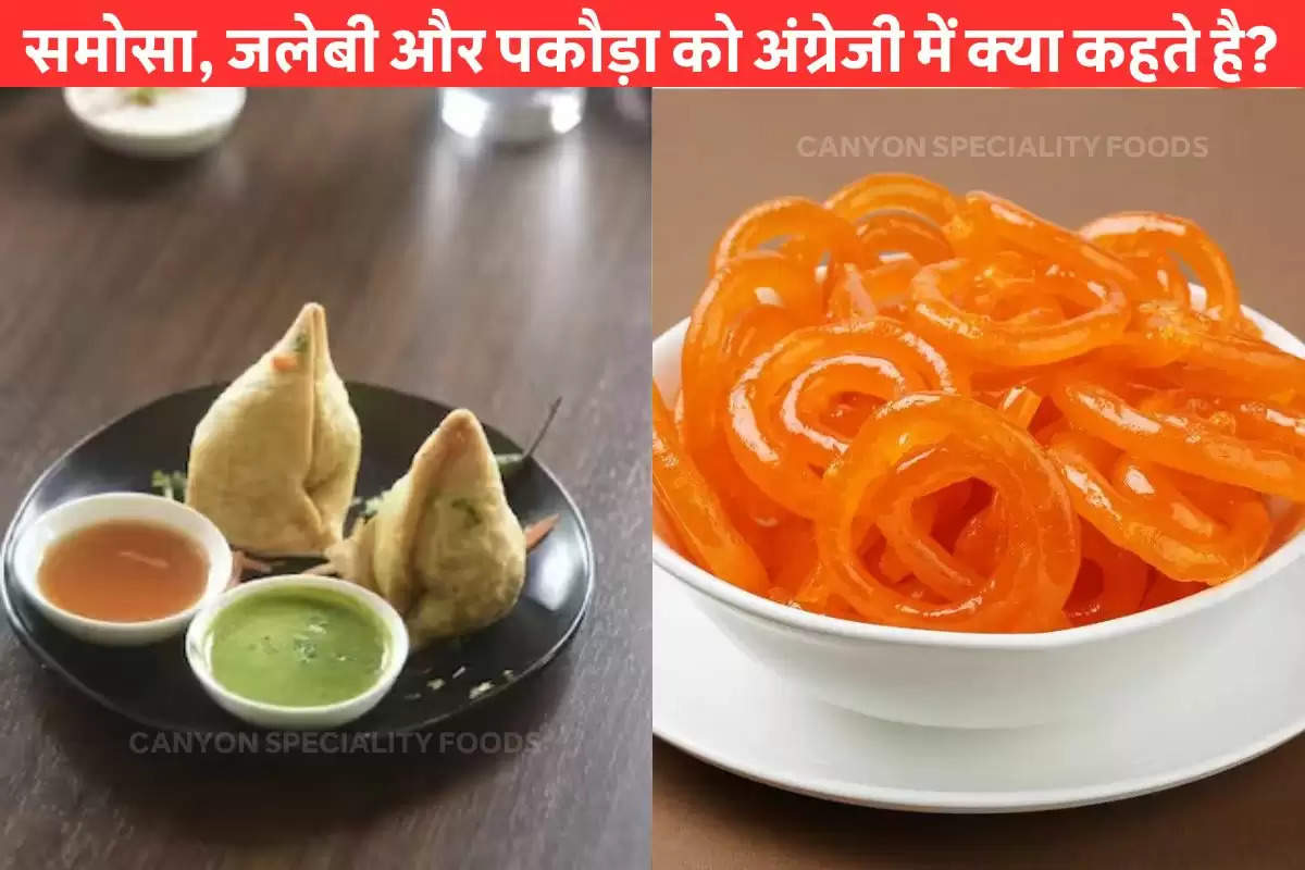 know-what-we-called-samosa-jalebi