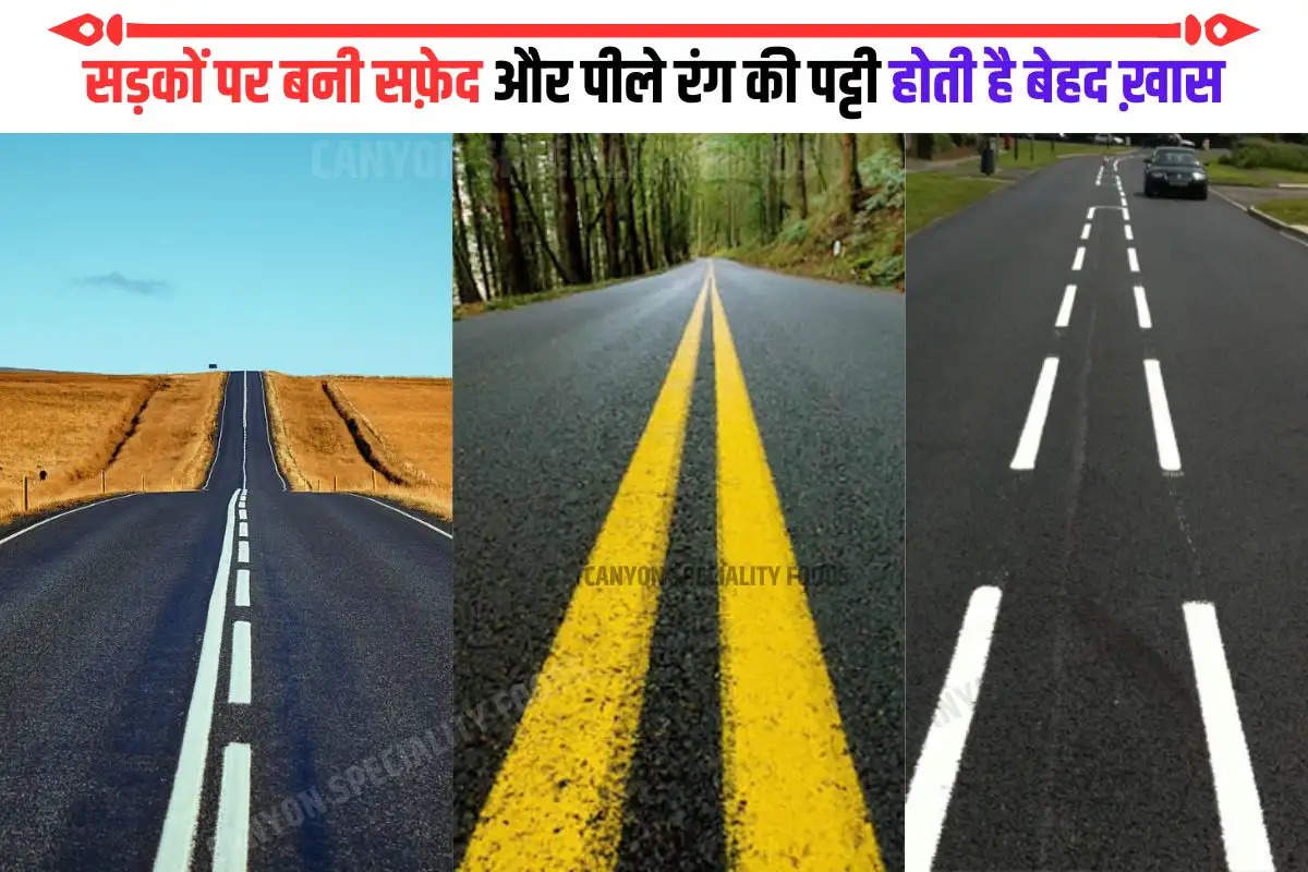 road markings meaning india
