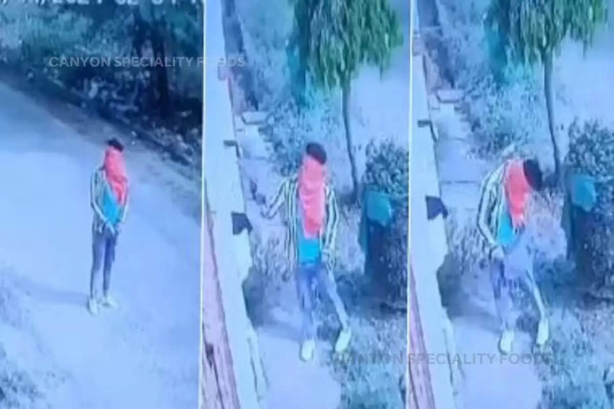 man-spotted-stealing-ladies-underwear