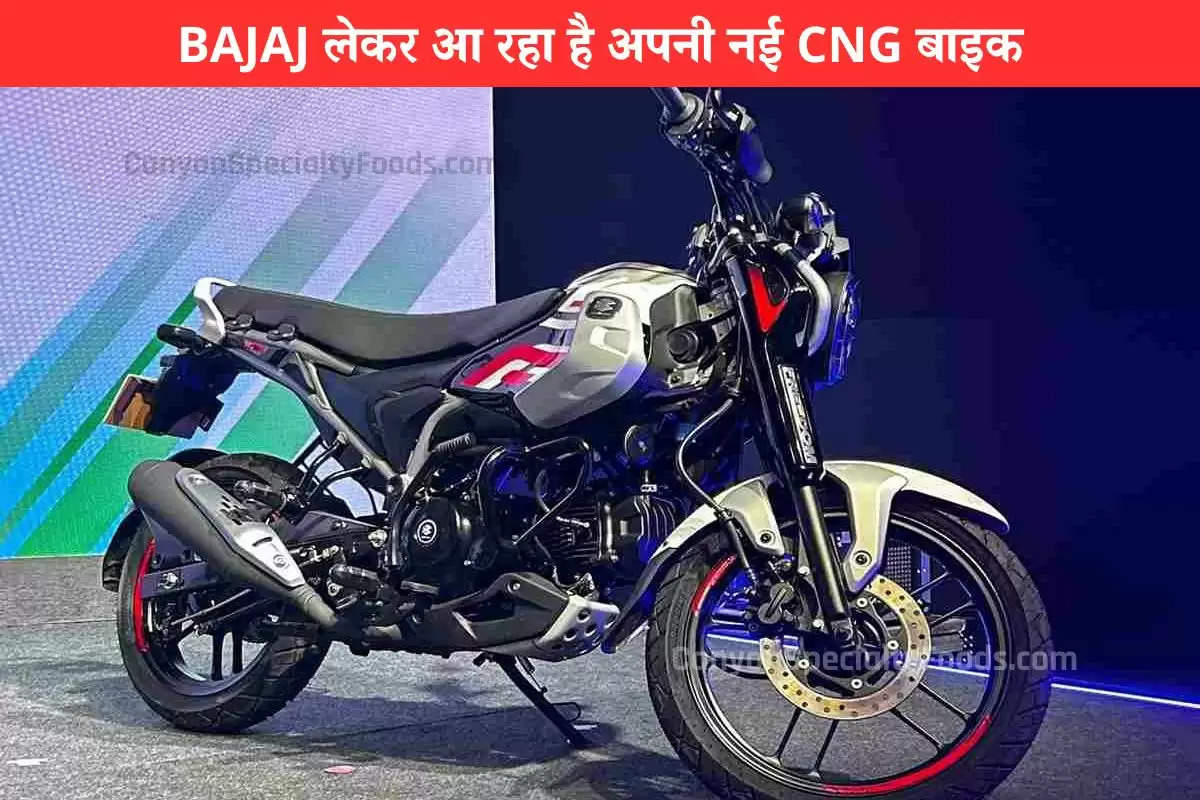 auto-ready-to-launch-new-cng-bike