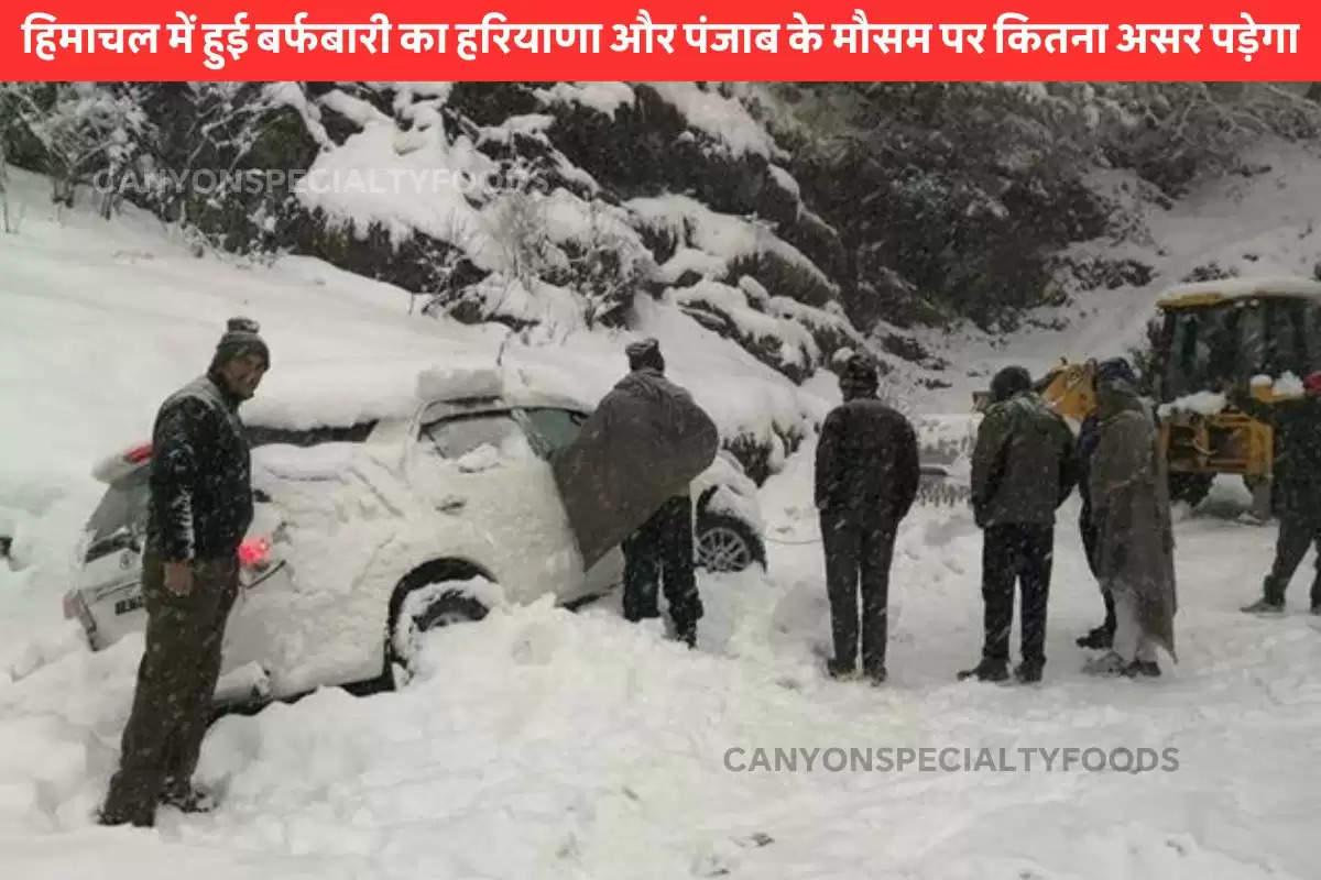himachal-snowfall-effects-farmers-of-haryana