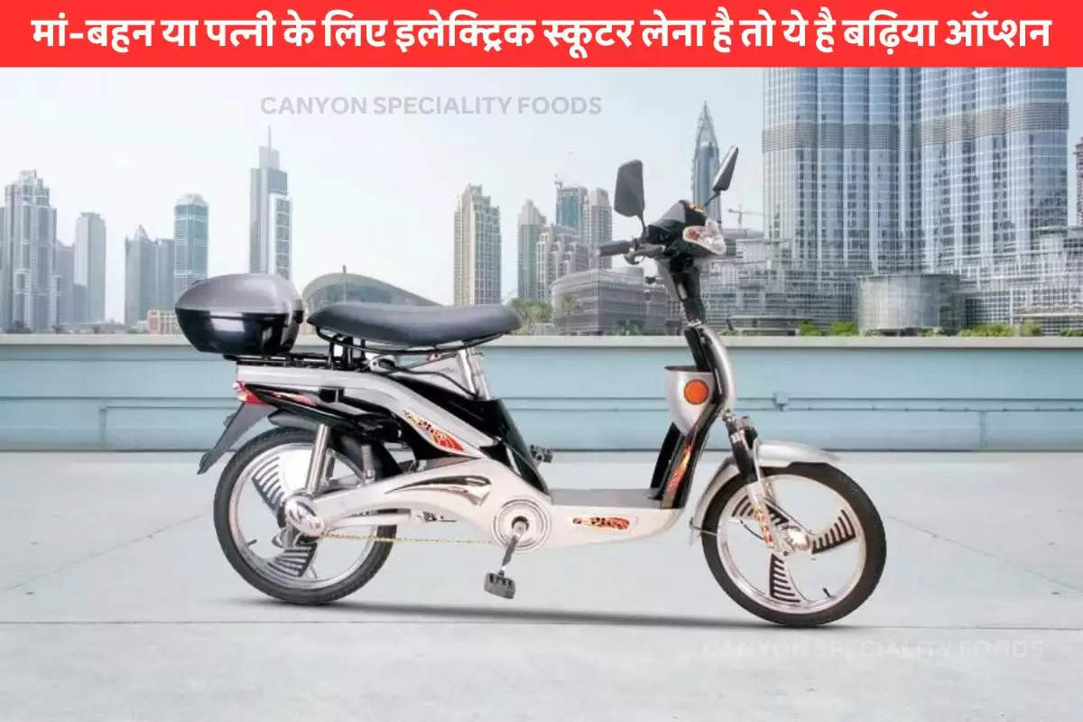 Cheapest Electric Scooter (1)