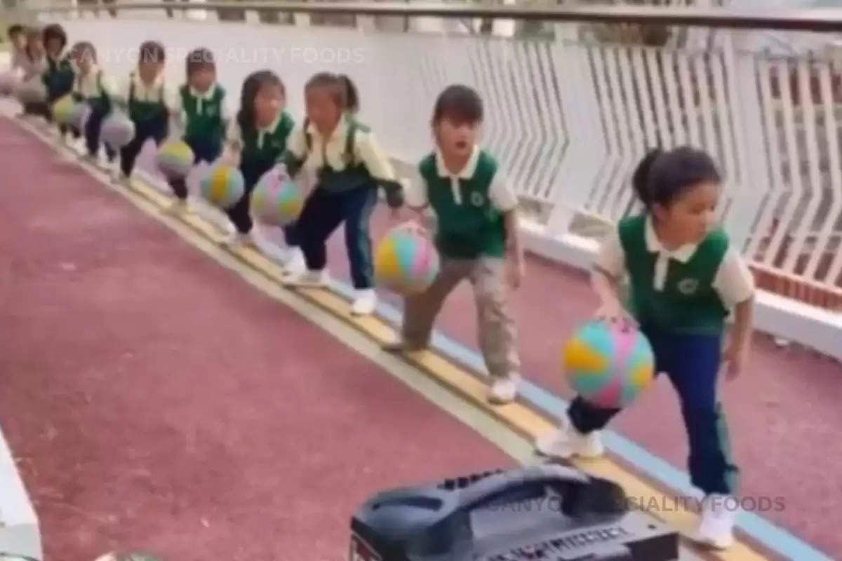 Basketball training in school