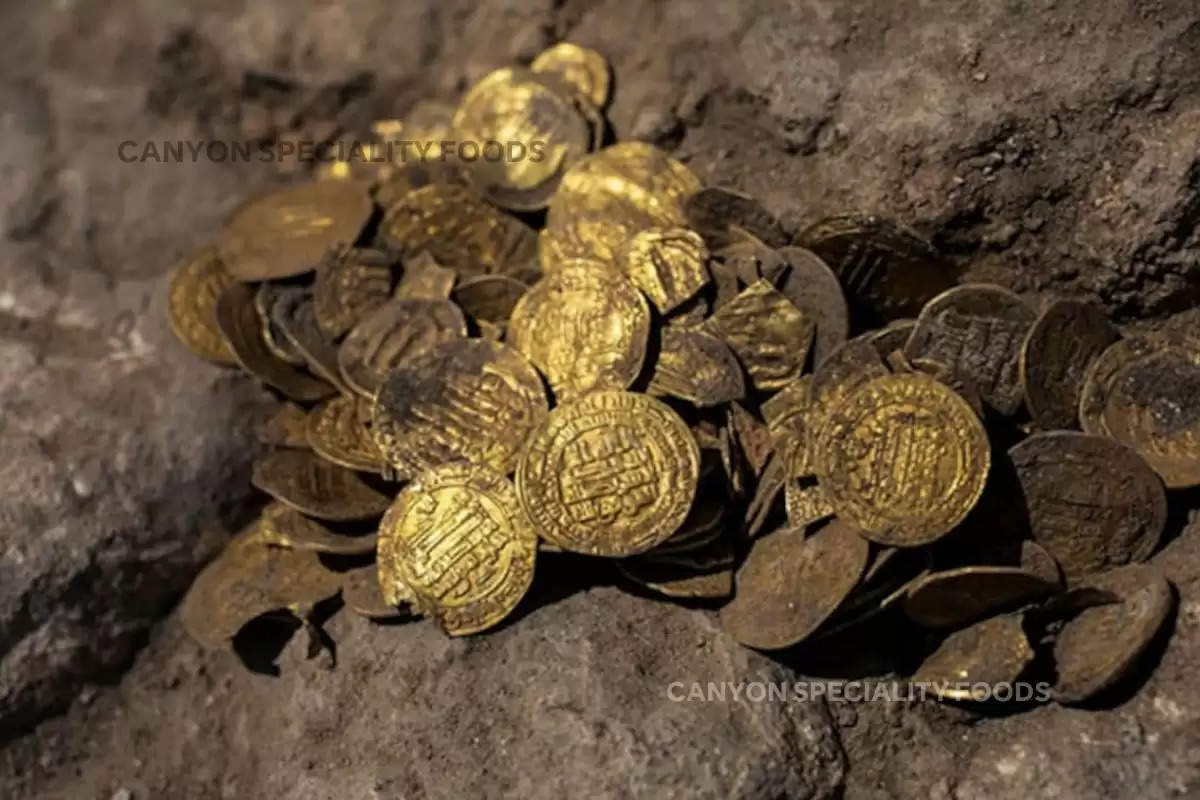 Couple Find Gold Coins Worth ₹ 2.3 Crore, Couple Find Gold Coins Worth ₹ 2.3 Crore in Kitchen, UK Couple Find Gold Coins Worth ₹ 2.3 Crore, Gold Coins, Gold Coins Worth ₹ 2.3 Crore Buried Under Kitchen Floor, Couple Find Gold Coins in UK,  viral news, trending news, world news, viral story, trending story, किचन में दबा मिला 2 करोड़ रु का खज़ाना, वायरल खबर, खजाना, ब्रिटेन,