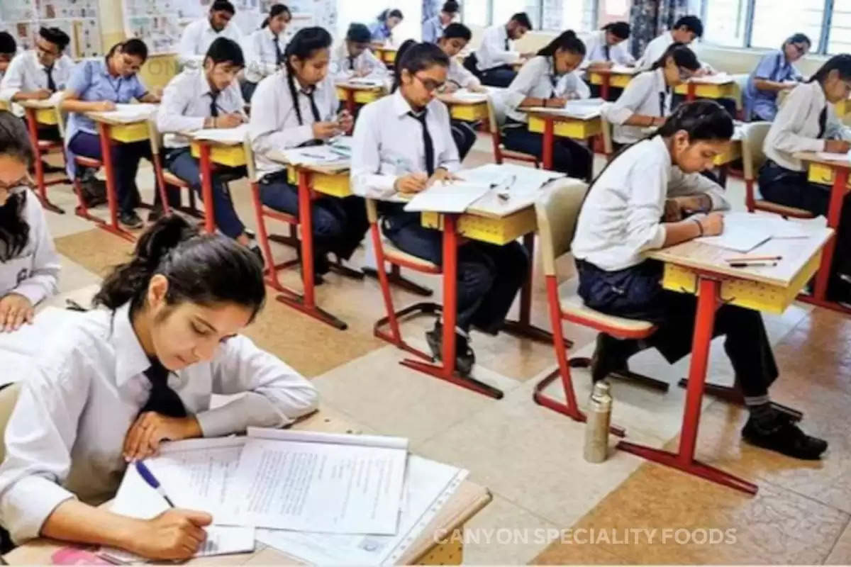 cbse board exam twice a year