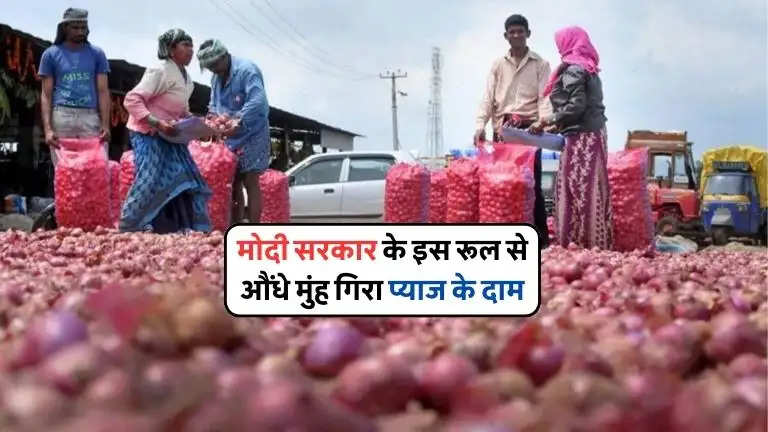 Onion Wholesale Price