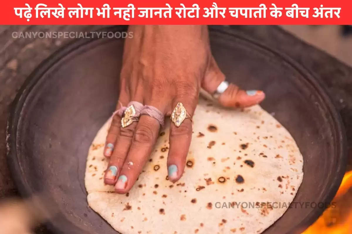 difference between roti and chapati