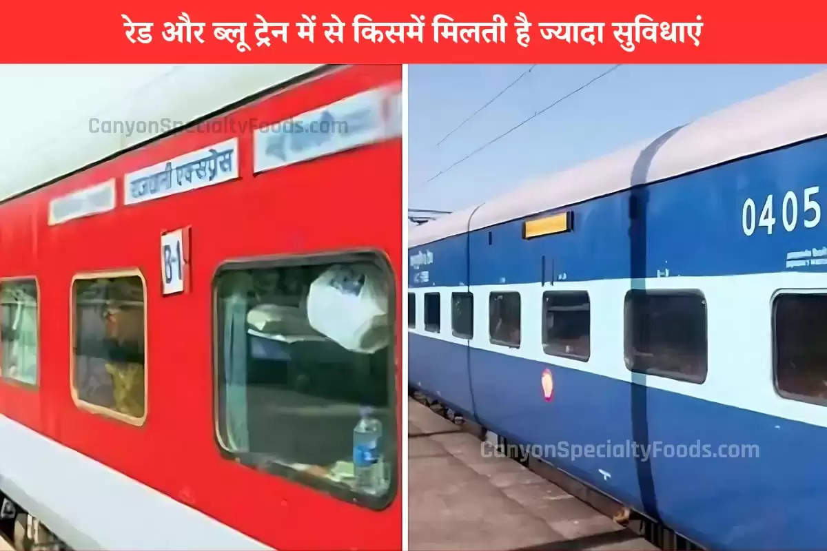 difference-between-red-train-and-blue-train