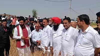 cm-took-stock-of-crop-damage