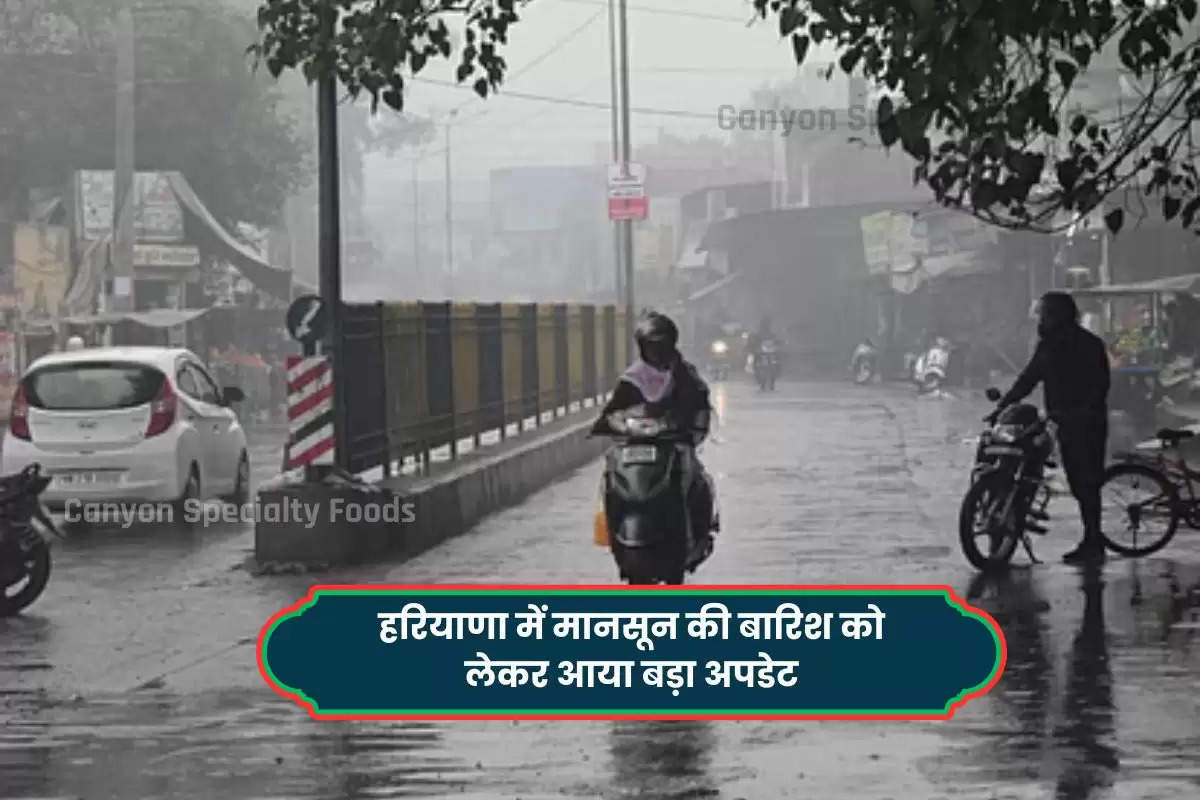 monsoon-in-haryana