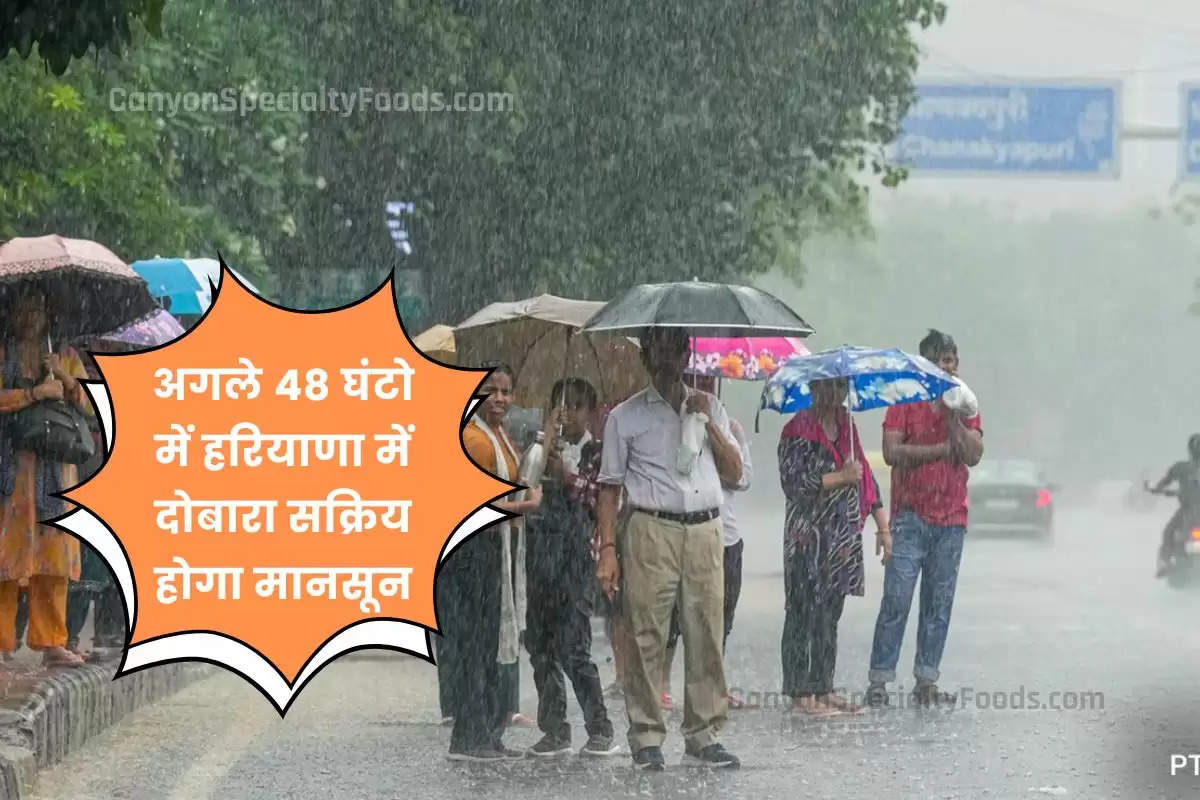 haryana-weather-monsoon