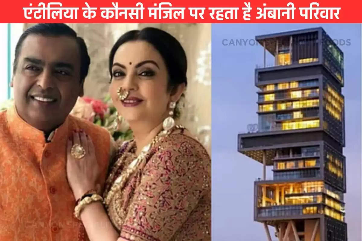 How much does Antilia cost