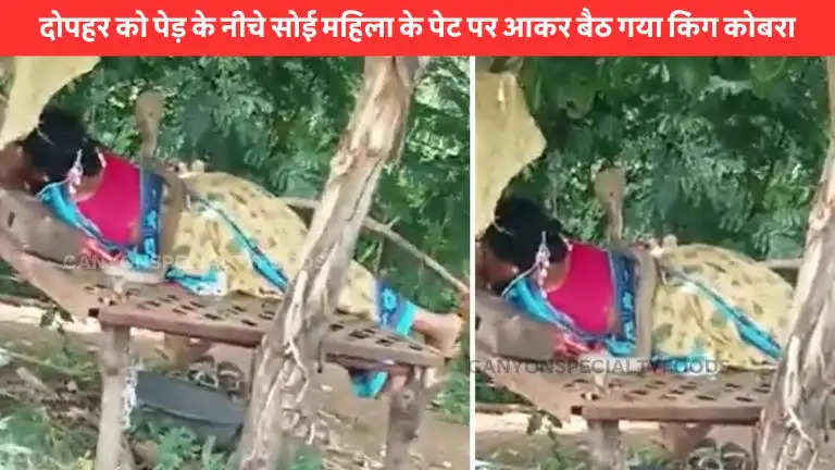 king-cobra-sitting-on-a-woman-sleeping-under-a-tree