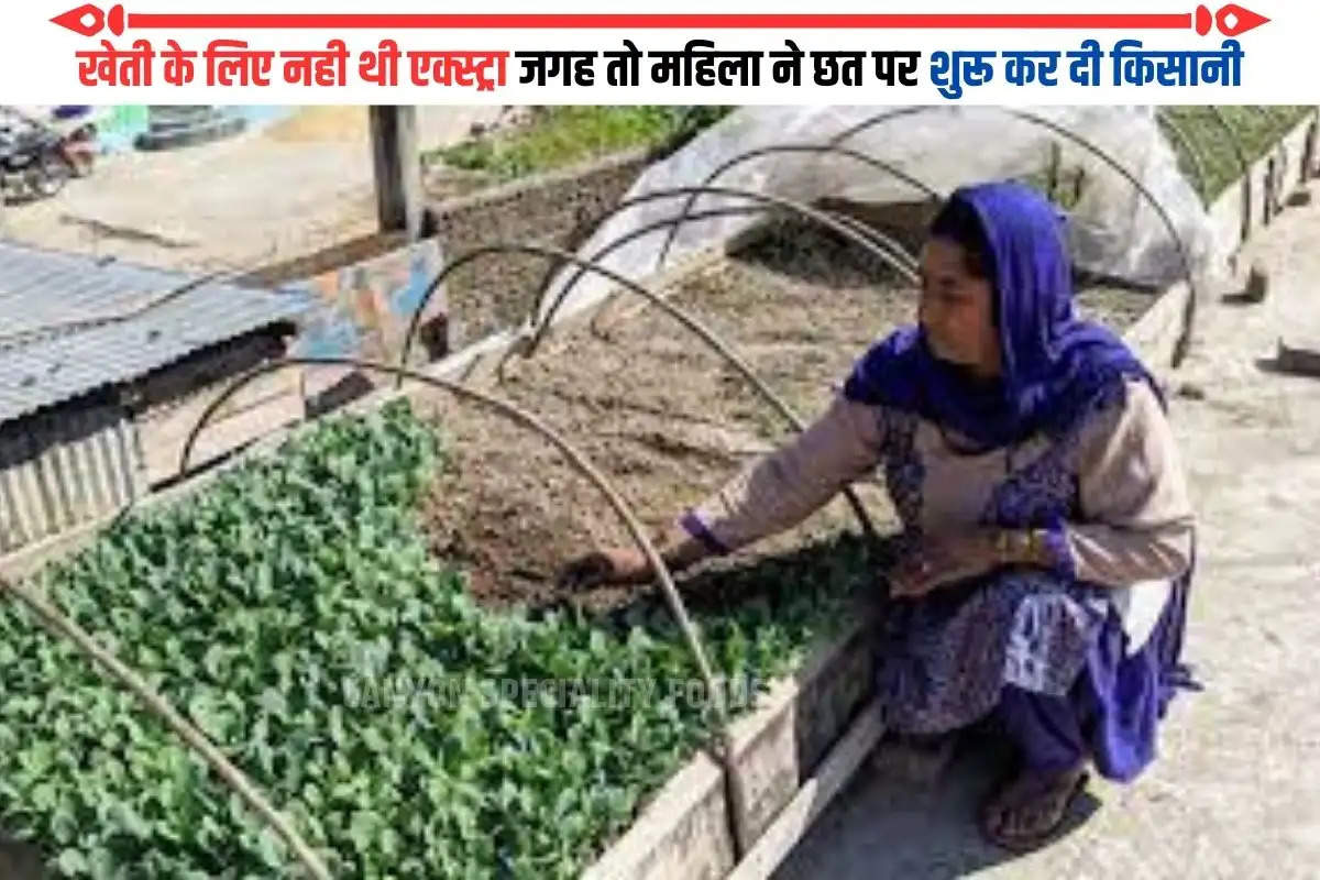 woman farmer of Sundernagar sunita devi