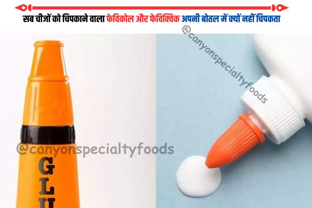 सब चीजों को चिपकाने वाला फेविकोल और फेविक्विक अपनी बोतल में क्यों नहीं चिपकता