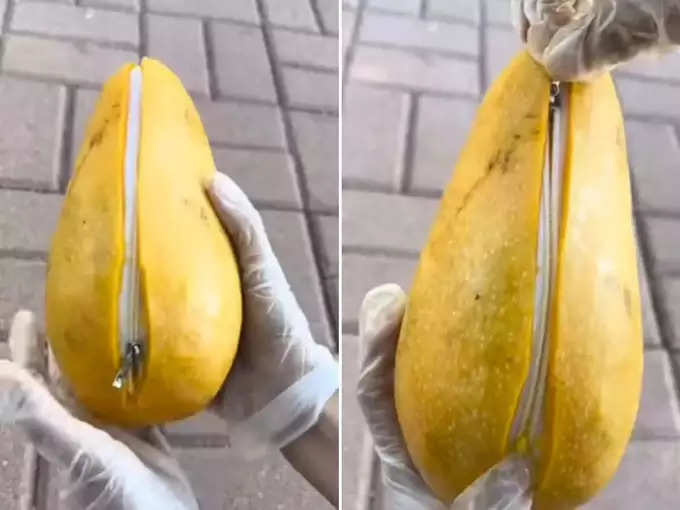 zipped real mango video