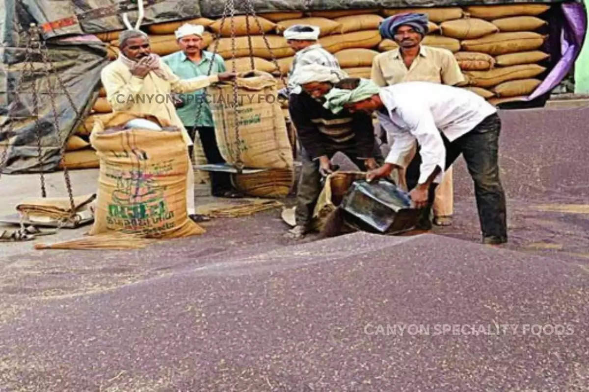 big-blow-to-farmers-in-haryana