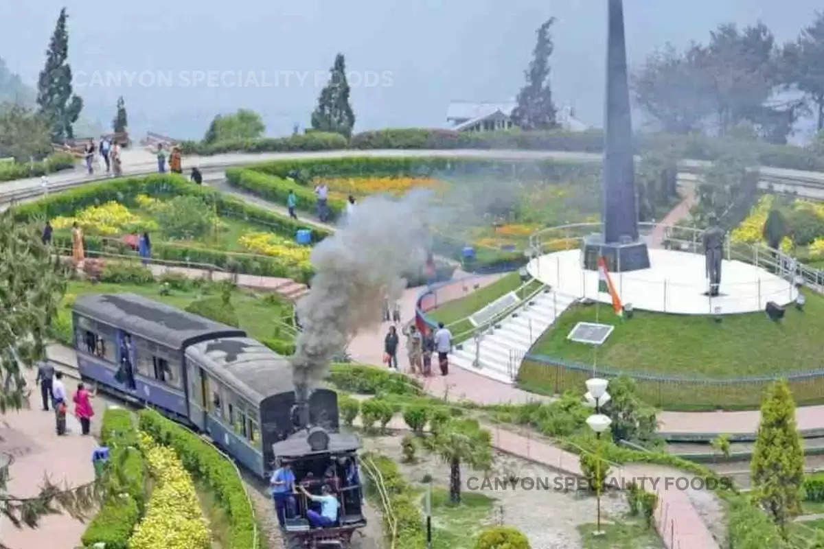 darjeeling-in-summer-dont-forget-to-visit