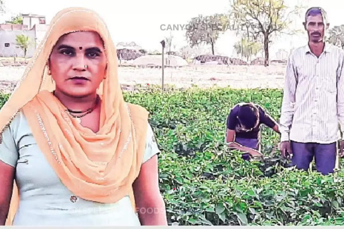 sirsa-ki-bahu-became-a-role-model-for-farmers