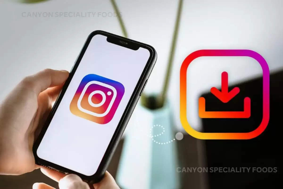 right-time-to-upload-videos-on-instagram