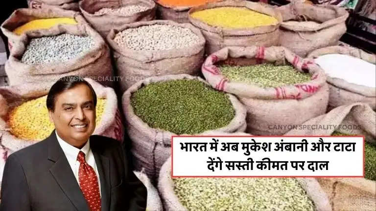 business-news/now-subsidised-pulses-will-be-sold-in-reliance-retail-and-big-basket