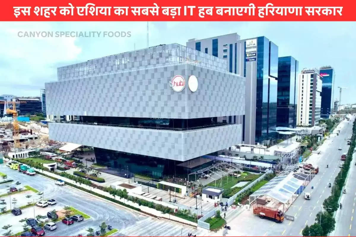 IT Hub Of Haryana (2)